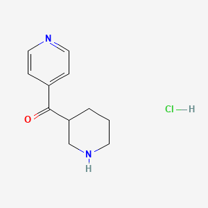 molecular formula C11H15ClN2O B1433064 Piperidin-3-yl(pyridin-4-yl)methanone hydrochloride CAS No. 1864074-81-6