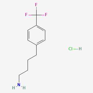 molecular formula C11H15ClF3N B1433147 4-[4-(Trifluoromethyl)phenyl]butan-1-amine hydrochloride CAS No. 1423034-77-8