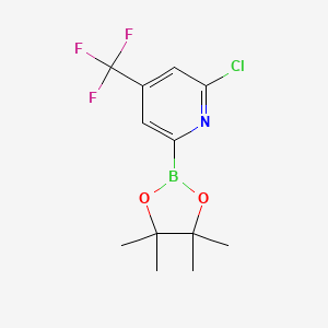 molecular formula C12H14BClF3NO2 B1433187 2-氯-6-(4,4,5,5-四甲基-1,3,2-二恶杂硼环-2-基)-4-(三氟甲基)吡啶 CAS No. 1622217-23-5