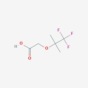 molecular formula C6H9F3O3 B1433333 2-[(1,1,1-Trifluoro-2-methylpropan-2-yl)oxy]acetic acid CAS No. 942215-79-4