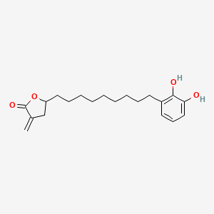 molecular formula C20H28O4 B14334022 5-[9-(2,3-Dihydroxyphenyl)nonyl]-3-methylideneoxolan-2-one CAS No. 104876-09-7