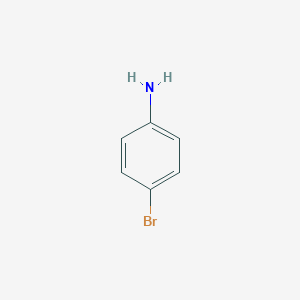 molecular formula C6H6BrN<br>BrC6H4NH2<br>C6H6BrN B143363 4-Bromoaniline CAS No. 106-40-1