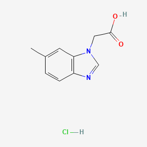 molecular formula C10H11ClN2O2 B1433681 2-(6-methyl-1H-1,3-benzodiazol-1-yl)acetic acid hydrochloride CAS No. 1795495-25-8