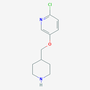 molecular formula C11H15ClN2O B1433684 2-氯-5-(哌啶-4-基甲氧基)吡啶 CAS No. 1515960-91-4