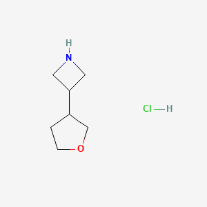 molecular formula C7H14ClNO B1433801 3-(Oxolan-3-yl)azetidine hydrochloride CAS No. 1795438-09-3