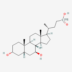 molecular formula C24H40O4 B1433915 Ursodeoxycholic acid-13C CAS No. 63296-46-8