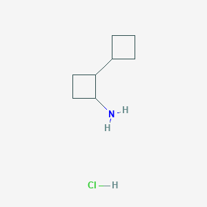 molecular formula C8H16ClN B1433997 2-Cyclobutylcyclobutan-1-amine hydrochloride CAS No. 1803589-67-4