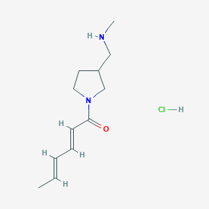 molecular formula C12H21ClN2O B1434012 1-{3-[(Methylamino)methyl]pyrrolidin-1-yl}hexa-2,4-dien-1-one hydrochloride CAS No. 1807938-51-7