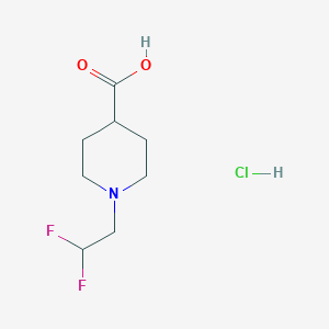 molecular formula C8H14ClF2NO2 B1434030 1-(2,2-Difluoroethyl)piperidine-4-carboxylic acid hydrochloride CAS No. 1803571-52-9