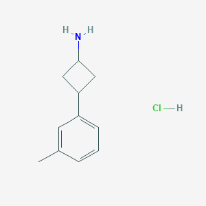 molecular formula C11H16ClN B1434035 3-(3-Methylphenyl)cyclobutan-1-amine hydrochloride CAS No. 1807891-10-6