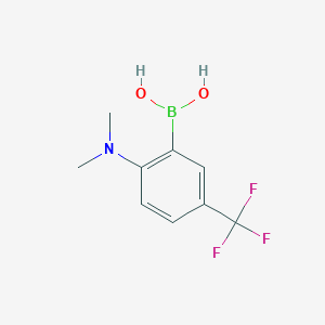 molecular formula C9H11BF3NO2 B1434071 2-(二甲氨基)-5-(三氟甲基)苯硼酸 CAS No. 1704063-80-8