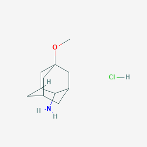 molecular formula C11H20ClNO B1434115 5-Methoxyadamantan-2-amine hydrochloride CAS No. 1803589-52-7