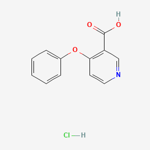 molecular formula C12H10ClNO3 B1434137 4-Phenoxypyridine-3-carboxylic acid hydrochloride CAS No. 1803601-96-8