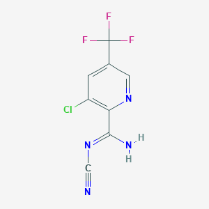 molecular formula C8H4ClF3N4 B1434149 3-氯-N'-氰基-5-(三氟甲基)吡啶-2-甲酰胺 CAS No. 1432056-51-3