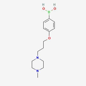 molecular formula C14H23BN2O3 B1434152 4-(3-(4-Methylpiperazin-1-yl)propoxy)phenylboronic acid CAS No. 1003028-43-0