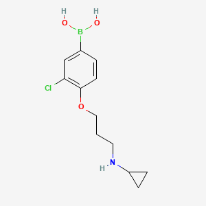 (3-Chloro-4-(3-(cyclopropylamino)propoxy)phenyl)boronic acid