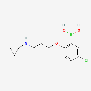 5-Chloro-2-(3-(cyclopropylamino)propoxy)phenylboronic acid