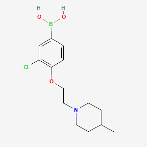 (3-Chloro-4-(2-(4-methylpiperidin-1-yl)ethoxy)phenyl)boronic acid