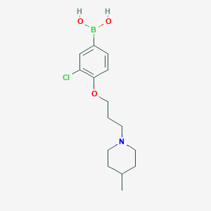 (3-Chloro-4-(3-(4-methylpiperidin-1-yl)propoxy)phenyl)boronic acid