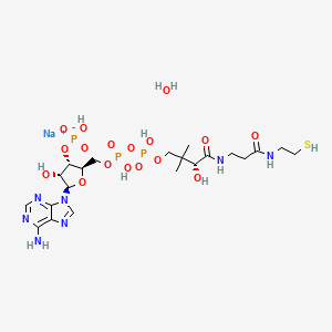 B1434492 Coenzyme A sodium salt hydrate CAS No. 55672-92-9