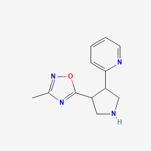 molecular formula C12H14N4O B1434504 3-Methyl-5-(4-(pyridin-2-yl)pyrrolidin-3-yl)-1,2,4-oxadiazole CAS No. 1955520-89-4