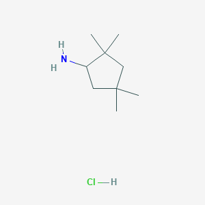2,2,4,4-Tetramethylcyclopentanamine hydrochloride