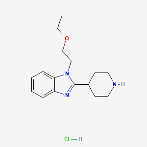 molecular formula C16H24ClN3O B1434560 1-(2-Ethoxyethyl)-2-(piperidin-4-yl)-1H-benzo[d]imidazole hydrochloride CAS No. 1841081-72-8