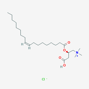 molecular formula C25H48ClNO4 B1434973 Linoleoyl-L-carnitine chloride 