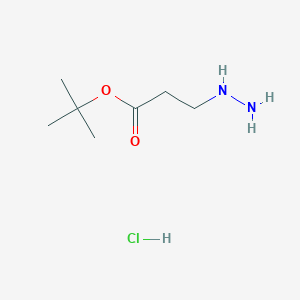 molecular formula C7H17ClN2O2 B1435095 Tert-butyl 3-hydrazinylpropanoate hydrochloride CAS No. 1949815-79-5