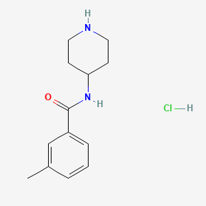 3-methyl-N-(piperidin-4-yl)benzamide hydrochloride