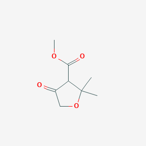 molecular formula C8H12O4 B1435262 Methyl 2,2-dimethyl-4-oxooxolane-3-carboxylate CAS No. 3132-21-6