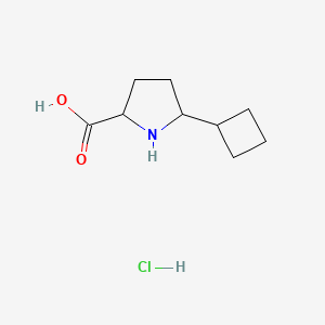 B1435283 5-Cyclobutylpyrrolidine-2-carboxylic acid hydrochloride CAS No. 2059932-65-7
