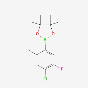 molecular formula C13H17BClFO2 B1435302 2-(4-Chloro-5-fluoro-2-methylphenyl)-4,4,5,5-tetramethyl-1,3,2-dioxaborolane CAS No. 1885096-92-3
