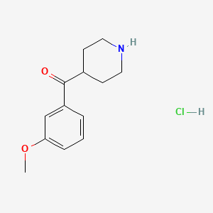 molecular formula C13H18ClNO2 B1435327 4-(3-Methoxybenzoyl)piperidine hydrochloride CAS No. 213886-99-8