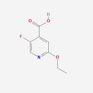 molecular formula C8H8FNO3 B1435365 2-乙氧基-5-氟异烟酸 CAS No. 1809157-96-7