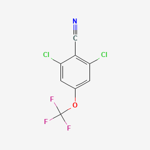 B1435366 2,6-Dichloro-4-(trifluoromethoxy)benzonitrile CAS No. 1822673-40-4