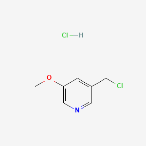 molecular formula C7H9Cl2NO B1435371 3-(Chloromethyl)-5-methoxypyridine hydrochloride CAS No. 1801422-13-8