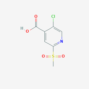 molecular formula C7H6ClNO4S B1435395 5-氯-2-甲磺酰基吡啶-4-羧酸 CAS No. 1803603-82-8
