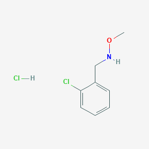 molecular formula C8H11Cl2NO B1435429 [(2-Chlorophenyl)methyl](methoxy)amine hydrochloride CAS No. 1803609-35-9