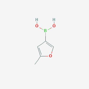 molecular formula C5H7BO3 B1435539 (5-Methylfuran-3-yl)boronic acid CAS No. 1146616-02-5