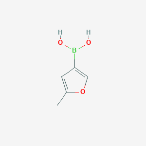 (5-Methylfuran-3-yl)boronic acid