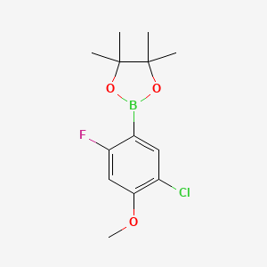 5-Chloro-2-fluoro-4-methoxyphenylboronic acid pinacol ester
