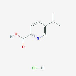 molecular formula C9H12ClNO2 B1435644 5-(丙烷-2-基)吡啶-2-甲酸盐酸盐 CAS No. 1803603-79-3
