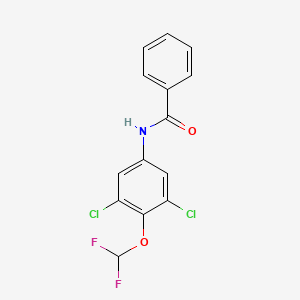 molecular formula C14H9Cl2F2NO2 B14356440 N-[3,5-Dichloro-4-(difluoromethoxy)phenyl]benzamide CAS No. 90257-57-1