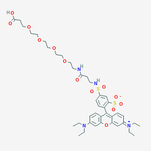 molecular formula C38H52ClN3O12S2 B1435767 1-(Rhodamin B-sulfonamido)-3-oxo-7,10,13,16-tetraoxa-4-azanonadecan-19-oic acid CAS No. 1334177-85-3