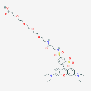 1-(Rhodamin B-sulfonamido)-3-oxo-7,10,13,16-tetraoxa-4-azanonadecan-19-oic acid