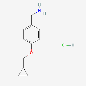 molecular formula C11H16ClNO B1435799 (4-(环丙基甲氧基)苯基)甲胺盐酸盐 CAS No. 1337879-95-4