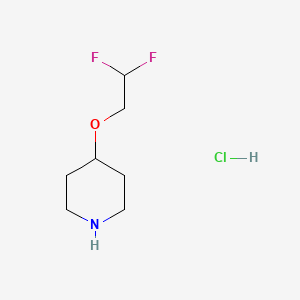 molecular formula C7H13F2NO B1435847 4-(2,2-Difluoroethoxy)piperidine hydrochloride CAS No. 1183898-34-1