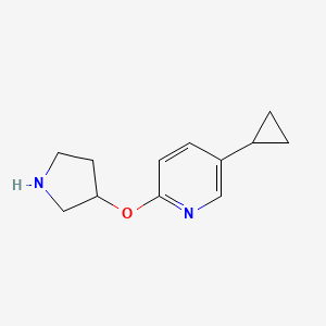 molecular formula C12H16N2O B1435888 5-Cyclopropyl-2-(pyrrolidin-3-yloxy)pyridine CAS No. 2059937-90-3