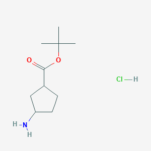 molecular formula C10H20ClNO2 B1435979 Tert-butyl 3-aminocyclopentane-1-carboxylate hydrochloride CAS No. 1955498-21-1